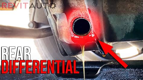 differential leaking oil|Rear Differential Leak – Causes and How to Fix the Leak